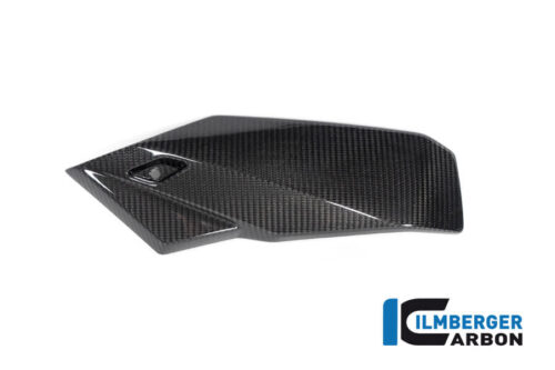 APM-PROJECT - BIKE-SECTOR - ILMBERGER CARBON - BMW - S1000R - M1000R - MSL.009.S121N.K