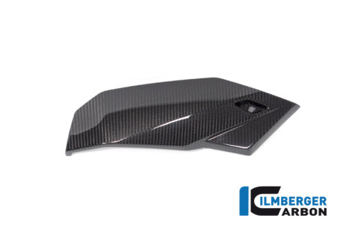 APM-PROJECT - BIKE-SECTOR - ILMBERGER - BMW_S1000R_2021_Ilmberger_carbon_MSR_010_S121N_K_3