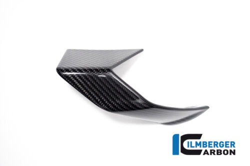 APM-PROJECT - BIKE-SECTOR - ILMBERGER - BMW S1000R