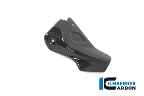 APM-PROJECT - BIKE-SECTOR I LMBERGER CARBON - MONSTER