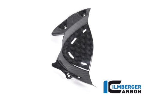 APM-PROJECT - BIKE-SECTOR I LMBERGER CARBON - MONSTER