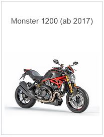 APM-PROJECT - BIKE-SECTZOR I LMBERGER CARBON - MONSTER 1200