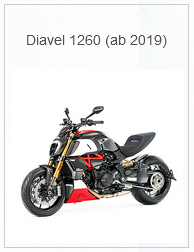 APM-PROJECT - BIKE-SECTOR - ILMBERGER - DUCATI MONSTER 1260