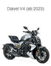APM-PROJECT - BIKE-SECTOR - ILMBERGER - DUCATI - DIAVEL V4 2023+