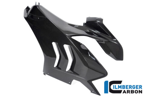 APM-PROJECT - BIKE-SECTOR - ILMBERGER - DUCATI - PANIGALE V4