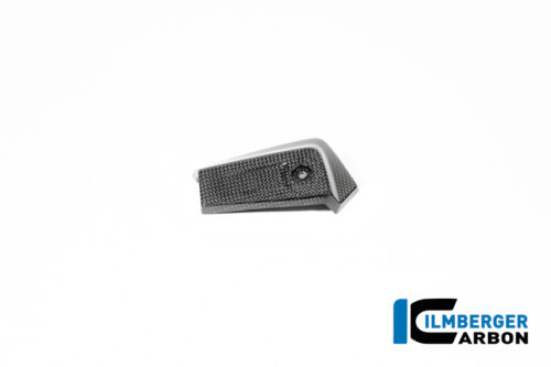 APM-PROJECT - BIKE-SECTOR - ILMBERGER CARBON - BMW - R12 NINE T CARBON - 2024+ - CG.OKL.013.R12NT