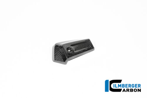 APM-PROJECT - BIKE-SECTOR - ILMBERGER CARBON - BMW - R12 NINE T CARBON - 2024+ - CG.OKR.014.R12NT