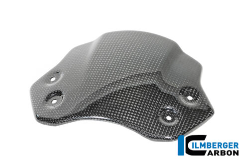 APM-PROJECT - BIKE-SECTOR - ILMBERGER CARBON - BMW - R12 NINE T CARBON - 2024+ - CG.VEO.004.R12NT