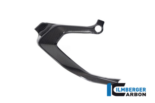 APM-PROJECT - BIKE-SECTOR - ILMBERGER CARBON - BMW - R 1300 GS - CG.RAR.014.R23GS