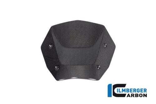 APM-PROJECT - BIKE-SECTOR - ILMBERGER CARBON - BMW - R 1300 GS - CG.VEO.006.R23GS