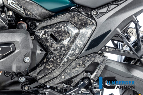 APM-PROJECT - BIKE-SECTOR - ILMBERGER CARBON - BMW - R 1300 GS BLACK DIAMOND CARBON - BG.RAL.013.R23GS