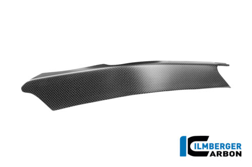APM-PROJECT - BIKE-SECTOR - ILMBERGER CARBON - DUCATI PANIGALE V4 - CM_RHL_022_V4P24