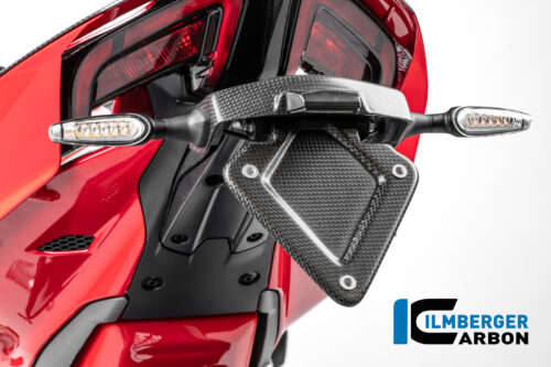 APM-PROJECT - BIKE-SECTOR - ILMBERGER CARBON - DUCATI PANIGALE V4 - STREETFIGHTER V4 - CM.NHO.009.V4P24